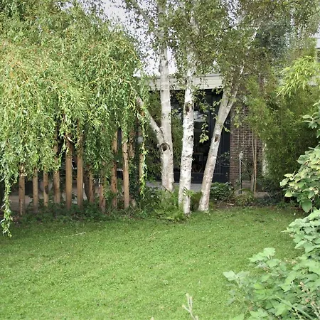 Behind The Tree Hoofddorp