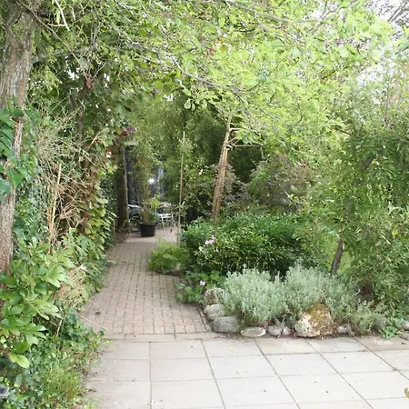 Behind The Tree Bed & Breakfast *